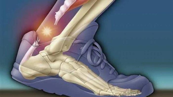 শেষ বয়স পর্যন্ত হাড় থাকবে লোহার মতো শক্ত, এই ফলগুলি খেয়ে যান