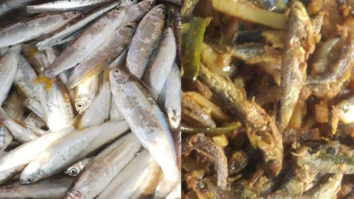 পুজোয় পাহাড়-ডুয়ার্সের সরকারি রিসর্ট-লজে স্পেশাল 'বোরোলি ডিশ', স্থানীয় রকমারি পদ