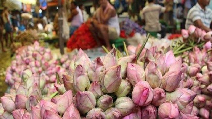 সংগৃহীত ছবি।