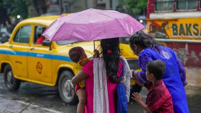 ফাইল ছবি।