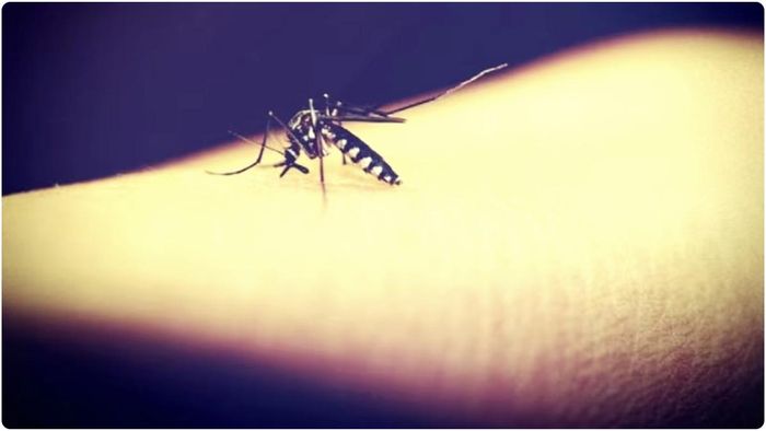 এবার জেঙ্গির এত বাড়াবাড়ি কেন? COVID আক্রান্তদের সতর্ক করছেন বিশেষজ্ঞরা!