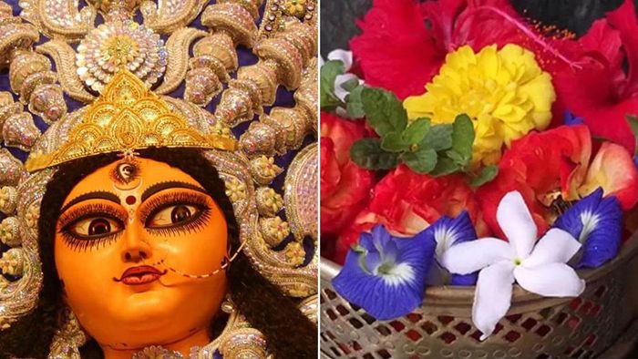 দুর্গার প্রিয় রাশি