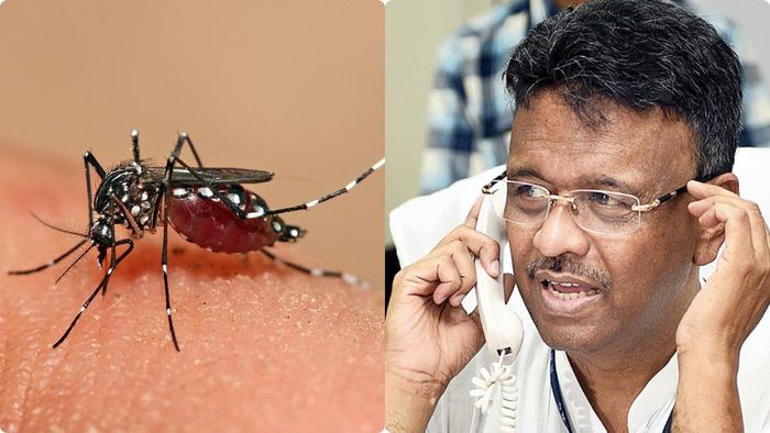 ফাইল ছবি।