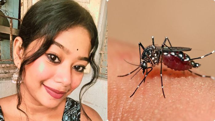 ফাইল ছবি।