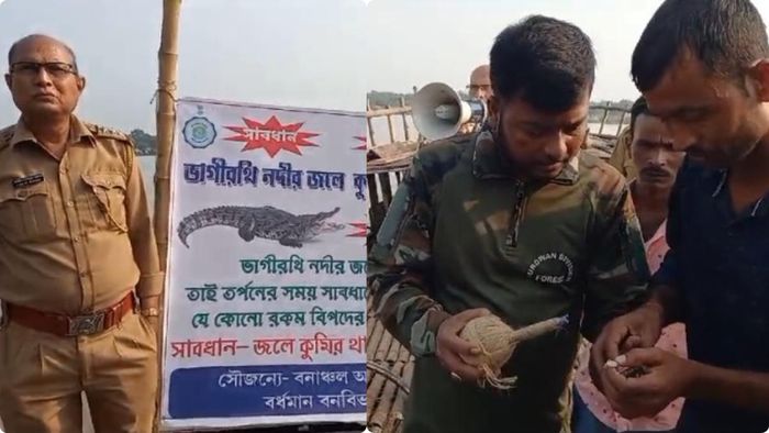 ফাইল ছবি।