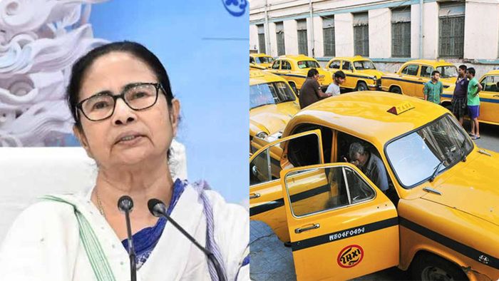 ফাইল ছবি।