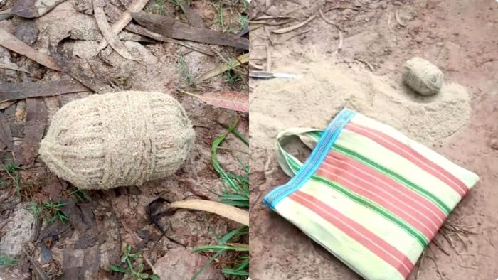 ফাইল ছবি।