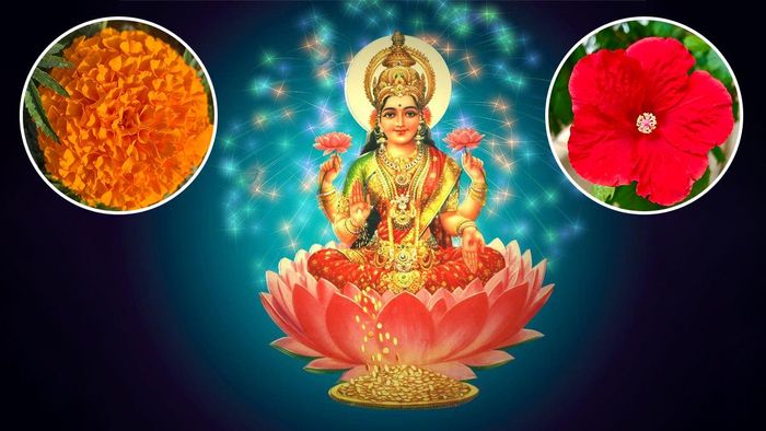 দেবী লক্ষ্মীর প্রিয় ফুল