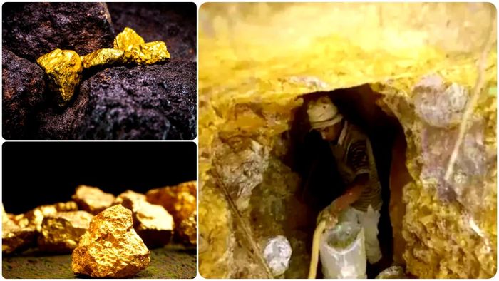 শীঘ্রই চালু হচ্ছে দেশের প্রথম বেসরকারি সোনার খনি, প্রতি বছর মিলবে ৭৫০ কেজি সোনা!
