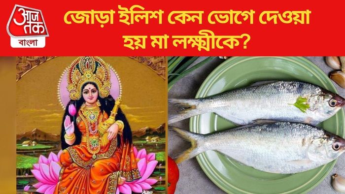 মা লক্ষ্মীকে জোড়া ইলিশের ভোগ