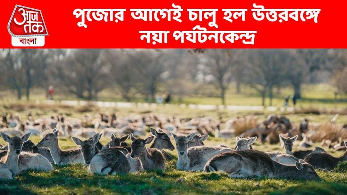 পুজোর আগেই নয়া পর্যটন কেন্দ্র চালু উত্তরবঙ্গে, পাহাড়-ডুয়ার্সের বাইরে নতুন ঠিকানা