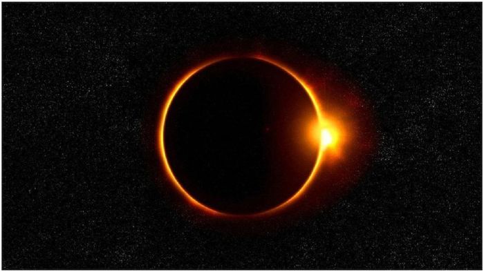 ফাইল ছবি।