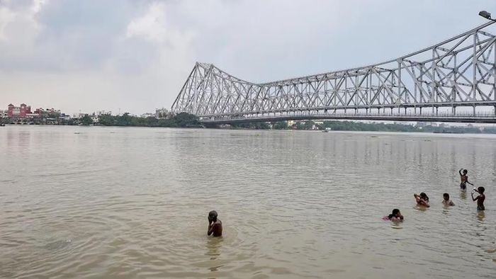 ফাইল ছবি।