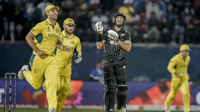 লড়েও হেরে গেল নিউজিল্যান্ড