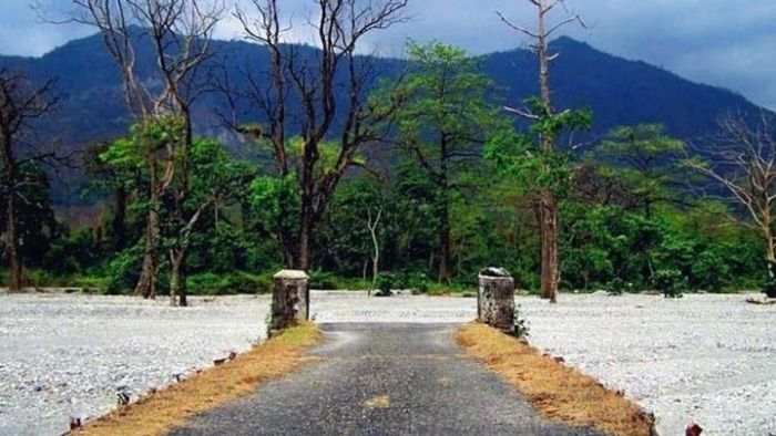 পর্যটকদের জন্য ডুয়ার্সে খোলা হল হেল্পডেস্ক, কী কী সুবিধা পাবেন?