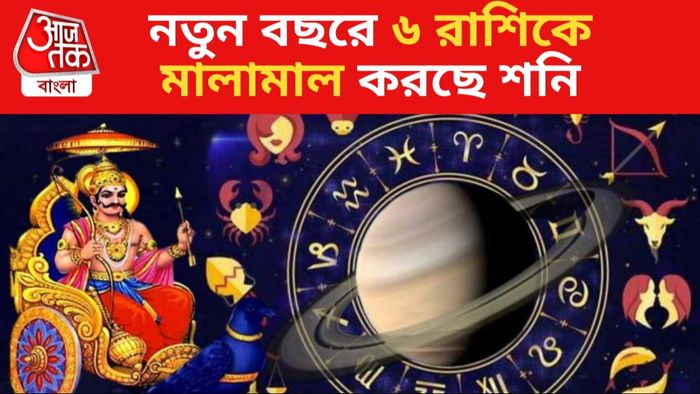 Shani Blessing Horoscope 2024