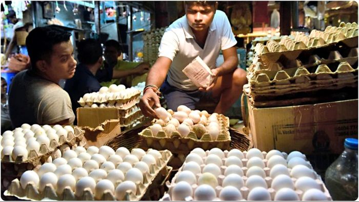 আজ দেশে রেকর্ড উচ্চতায় ডিমের দর, কলকাতায় কত-কবে কমতে পারে দাম?