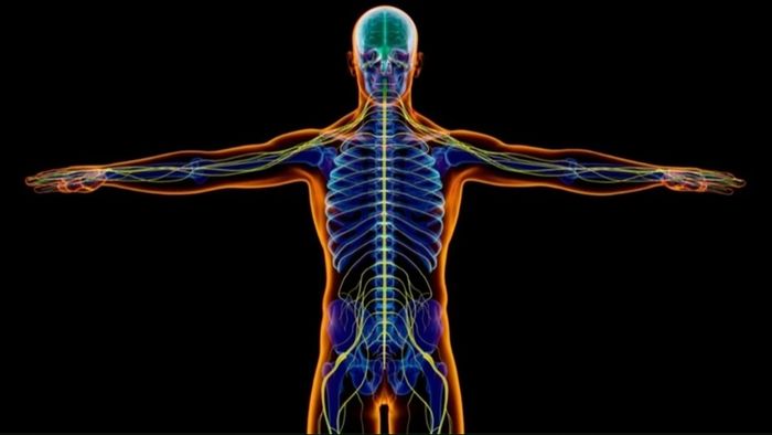 প্রতীকী ছবি