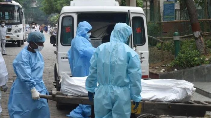 ফাইল ছবি