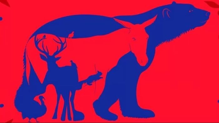 প্রথমে কী দেখলেন বল্গা হরিণ না কাঠবিড়ালি? জানুন আপনার মনের অন্দরে কী চলে