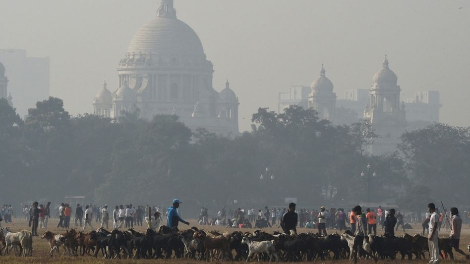 কলকাতায় আরও নামল পারদ, দার্জিলিঙে তুষারপাতের সম্ভাবনা, কবে? কলকাতায় আরও নামল পারদ, দার্জিলিঙে তুষারপাতের সম্ভাবনা, কবে?