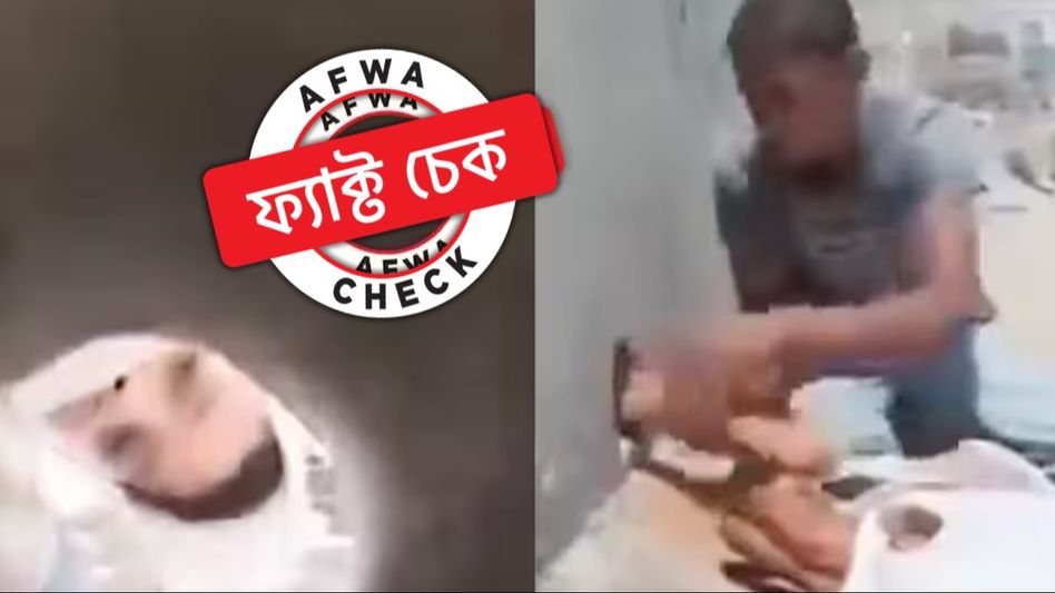 ফ্যাক্ট চেক: সীমান্তের দেওয়ালের গর্ত দিয়ে খাবার পাচারের ভিডিয়োটি গাজার নয় ফ্যাক্ট চেক: সীমান্তের দেওয়ালের গর্ত দিয়ে খাবার পাচারের ভিডিয়োটি গাজার নয়
