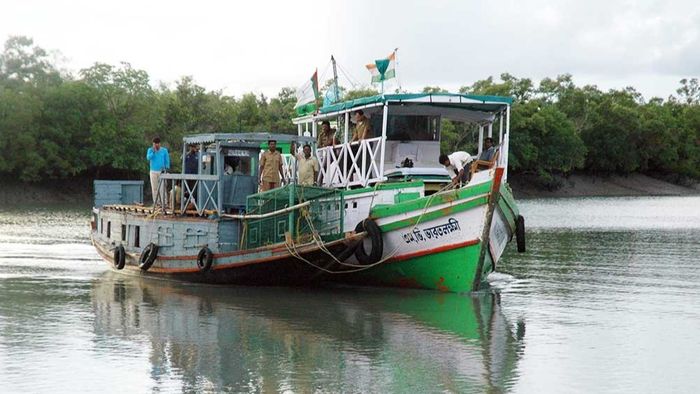 sundarbans