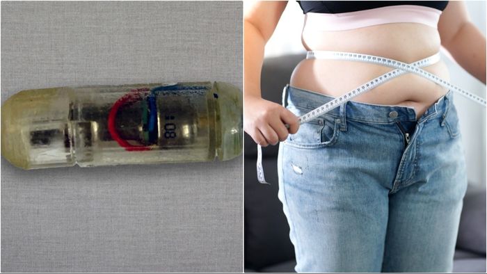 ফাইল ছবি।