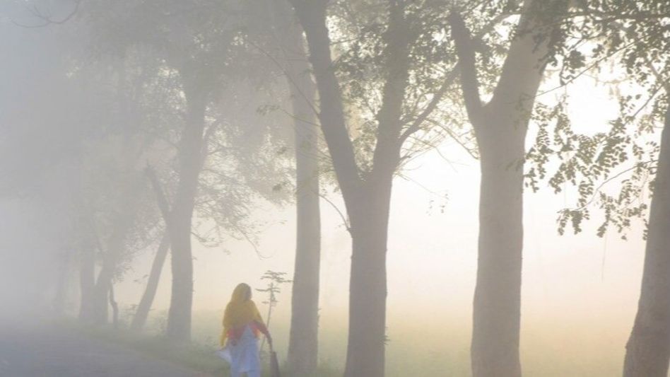 আবার জাঁকিয়ে ফিরছে ঠান্ডা, কত ডিগ্রি নামতে পারে পারদ? পূর্বাভাস আবার জাঁকিয়ে ফিরছে ঠান্ডা, কত ডিগ্রি নামতে পারে পারদ? পূর্বাভাস