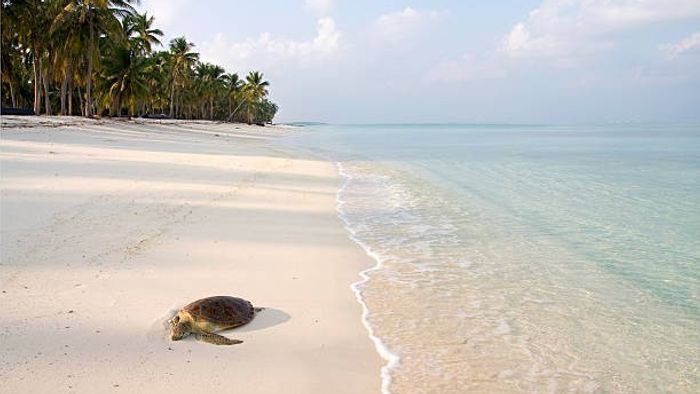 লাক্ষাদ্বীপ