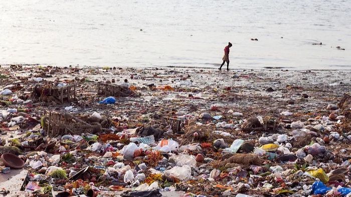 ফাইল ছবি।