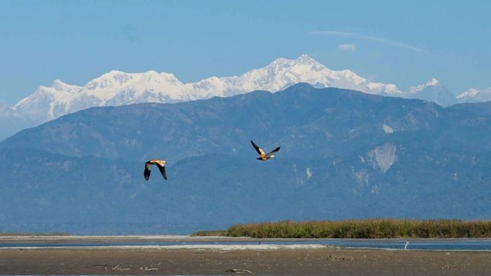 গজলডোবা। ছবি সৌজন্য-নেচার বিয়ন্ড