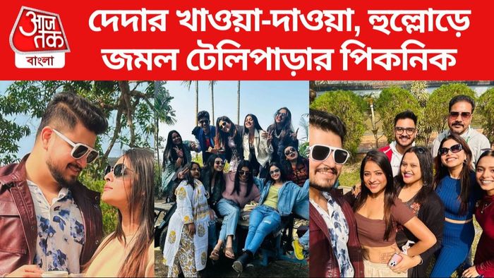 টেলিভিশনের পিকনিক