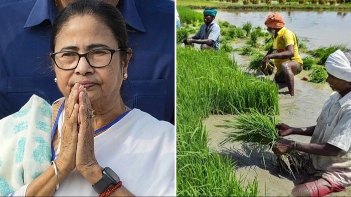 মমতা বন্দ্যোপাধ্যায় (ফাইল ছবি)