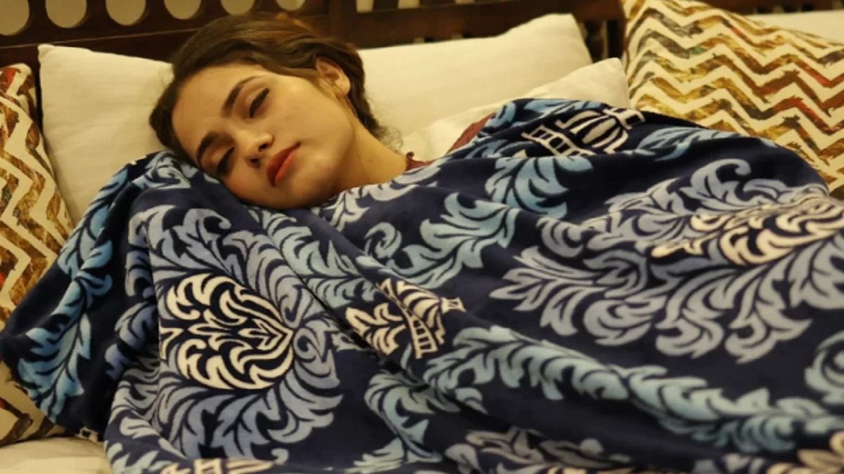 রুম হিটার ছাড়াই গরম থাকবে ঘর, ৫ সহজ পদ্ধতি কাজে লাগান