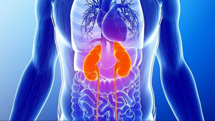 প্রতীকী ছবি