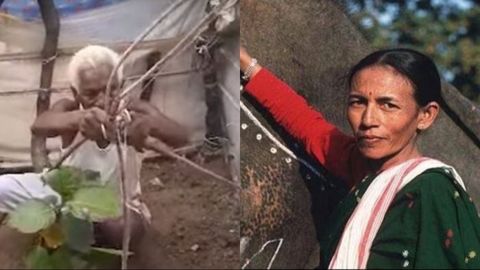 গাছ দাদু এবং পার্বতী বড়ুয়া (বাঁ দিক থেকে)।