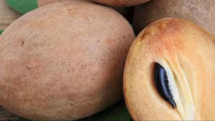 সবেদা খুব উপকারী।