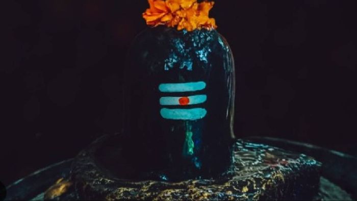 বিভিন্ন ধরনের শিবলিঙ্গ রয়েছে।