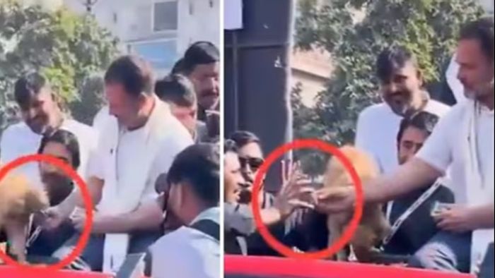 Rahul Gandhi Viral Video