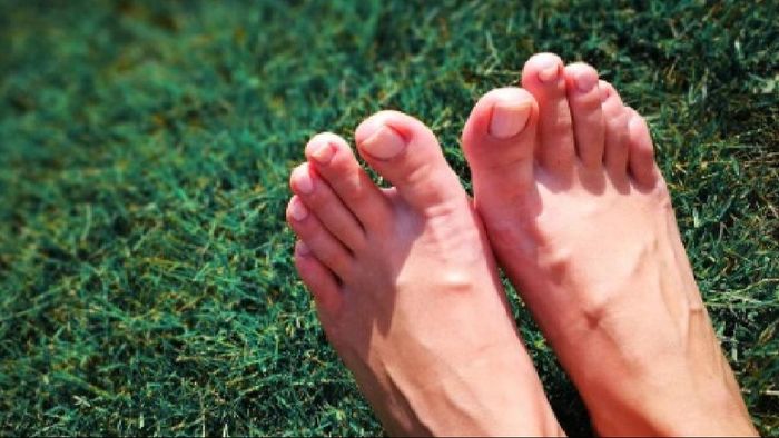 পায়ের পাতা দেখে জানুন কপালে কী রয়েছে।