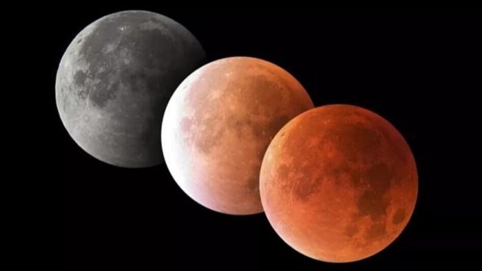 ১০০ বছর পর দোল পূর্ণিমায় বিরল ঘটনা, ফায়দা তুলবে ৩ রাশি