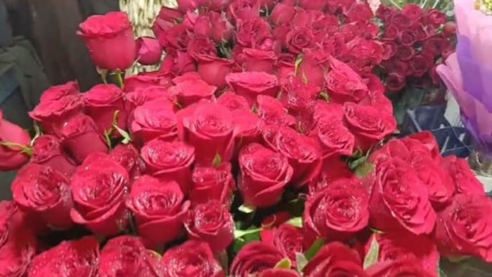 ভ্যালেন্টাইন্স-ডের আগে জমজমাট শিলিগুড়ি