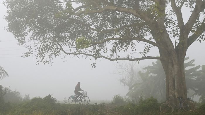 সকালের কুয়াশা। ছবি-পিটিআই