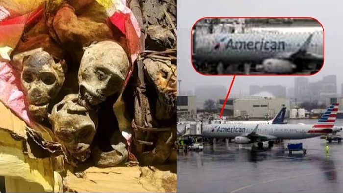 খাওয়ার জন্য সুটকেসে ভরে লাশ নিয়ে যাচ্ছিল এক ব্যক্তি, ধরিয়ে দিল কুকুর