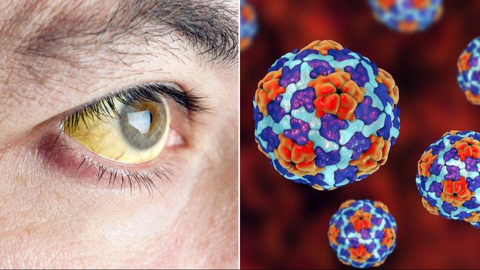 প্রতীকী ছবি