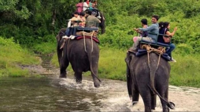 স্বর্গের মতো! ডুয়ার্সের জঙ্গল ঘোরার সেরা সময় মার্চ-এপ্রিল, কয়েকটি হদিশ রইল