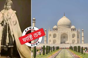 Social Media Users Social Media Users