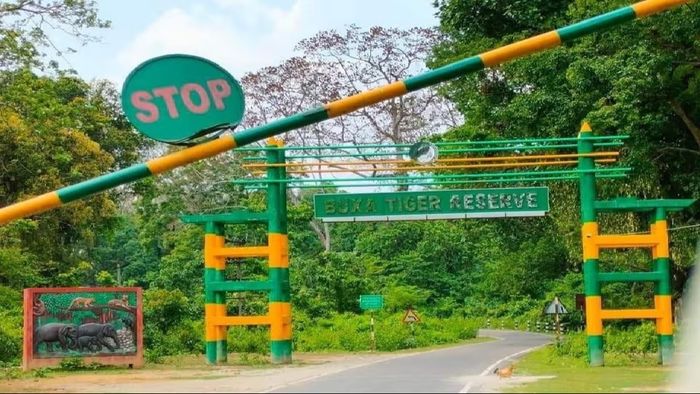 বক্সার জঙ্গলে সাফারির নিয়মে বদল, ঘুরতে যাওয়ার আগে জেনে নিন