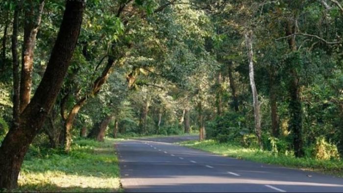 লাটাগুড়ি-ঝালং-মিরিকে একসঙ্গে শুরু বেঙ্গল হিমালয়ান কার্নিভাল